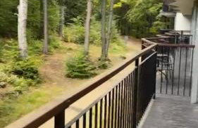 Środkowa widok na góry 1 piętro garaż gratis - Foto 25