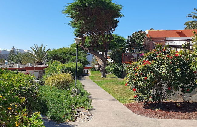 Casa Panorama 314 San Agustín Maspalomas - Photo 22