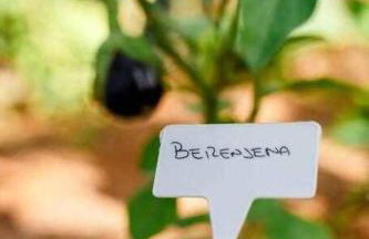 Can Emyla new modern villa with gym 5´from PACHA - Foto 8