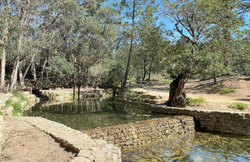 Fonte Fria House - Foto 34