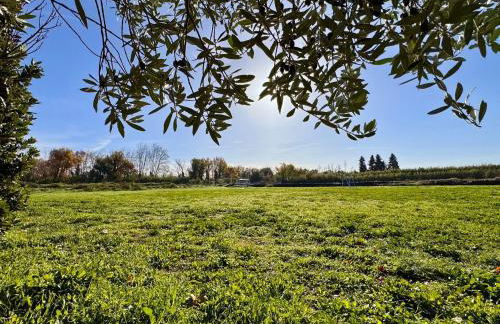 Mas d Anissa - Photo 13