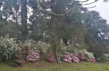 Recanto da Natureza- Chalé - Foto 45