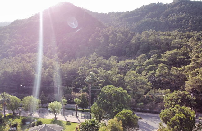 Arya Apart - Foto 38