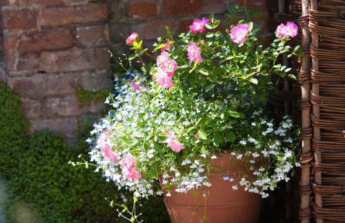 Wren Cottage, a very cosy historic Coastal Cottage in a pretty little village - Foto 10