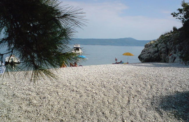 Spacious Apartment With Terrace & Outdoor Kitchen Surrounded by a Garden - Foto 34