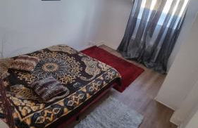 De Manhattan à la savane - Foto 7