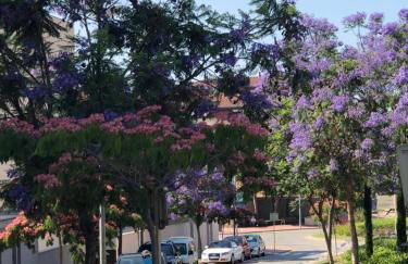 2 Avinguda Santa Clotilde - Foto 8