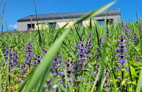 RosoChata313 Domek w górach z Sauną,Jacuzzi,Basenem "Panieński" ruska Bania - Foto 21