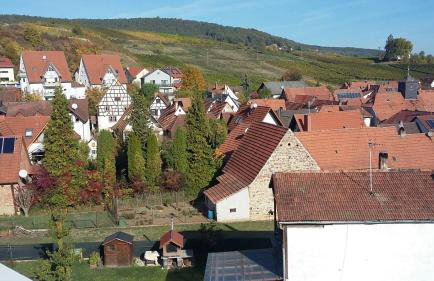 FeWoSchwedenhaus - Foto 19