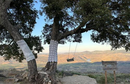 Cantinho da Aldeia - Foto 21