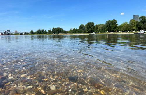 Living Lu - cosy Apartment one - Netflix - nähe Mannheim - BASF - 1 Zimmer - Foto 9