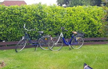 Ferienhaus Elbdiek - Photo 14