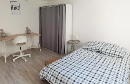 Belle Maison 12p 6 couchages TOURS CENTRE avec jardin - Foto 20