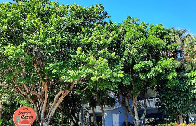 Sunset Beach 202 2 Bedroom Condo by RedAwning - Photo 13