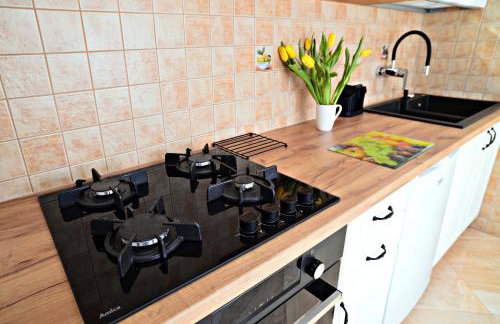 Apartament z tarasem i pokoje KLIMATYZOWANE -Drozdówka Solina - Foto 14