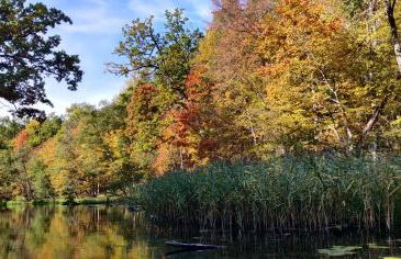 Mazurski oddech - Foto 38