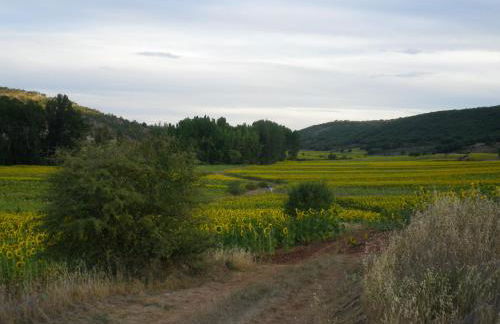 Casa rural El Rincón de las Estrellas - Foto 36