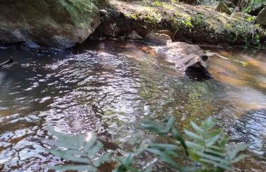 Casa da Serra borrussia - Foto 27