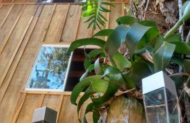 Casa do Campo - Foto 1