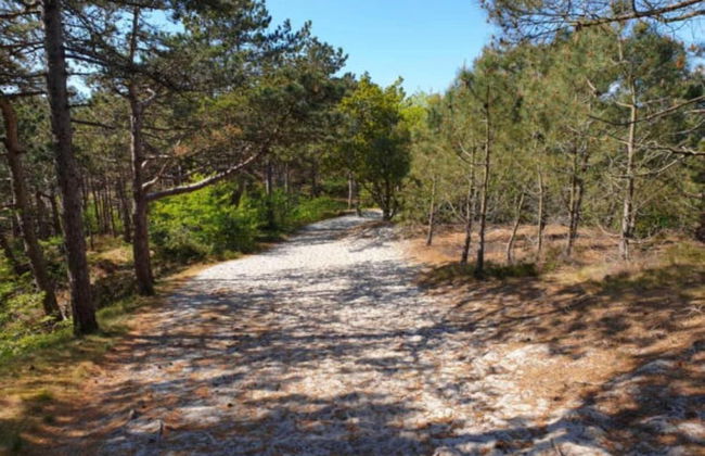 Peaceful Dune Retreat With Garden - Foto 38