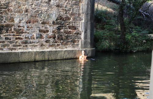 La Grulla Gris - Foto 23