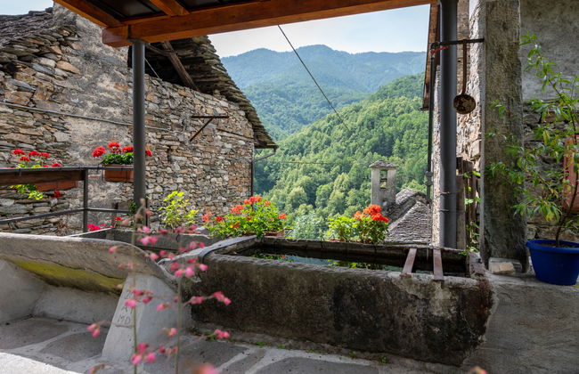 Il Gianlupo - Foto 32