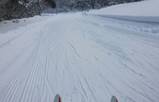 SNOWED INN apartment - Photo 24