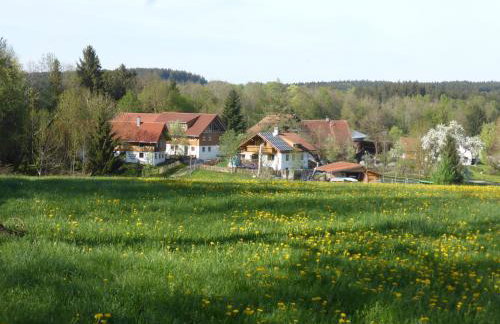 Holstein-Höfle - Gipfelstüble - Photo 23