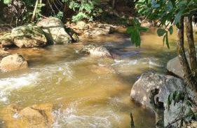 Vivendas Canaã - Foto 15