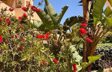 Gorgeous Apartment located in Elviria Marbella - Photo 14