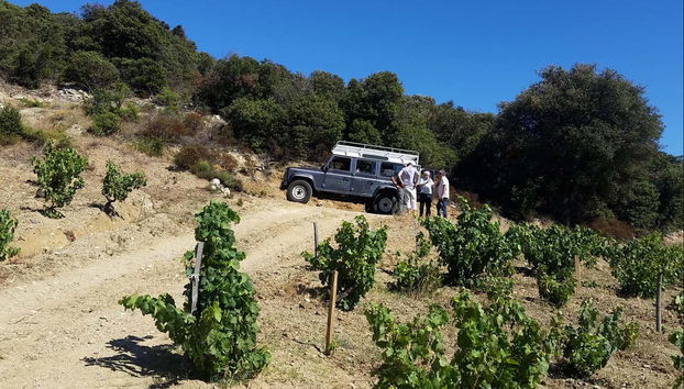 En 4x4 por los viñedos de Bélesta