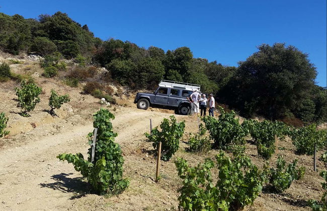 Bélesta Vineyards Jeep Tour - Photo 3