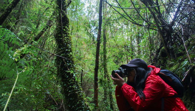 Senderos del Bosque Ecological Reserve Tour - Foto 2