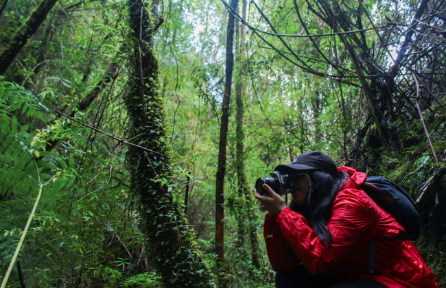Senderos del Bosque Ecological Reserve Tour - Photo 7