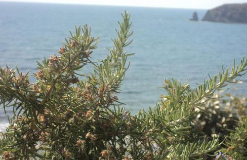 Il Rifugio del Conte - Foto 31