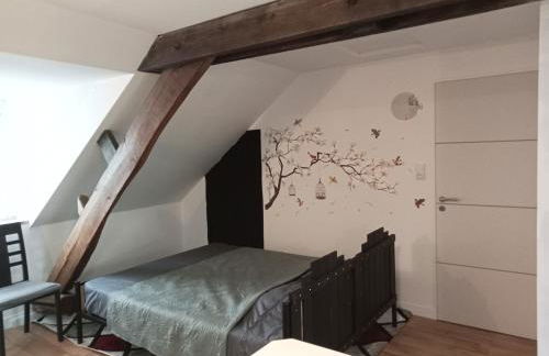 Colibri Studio - Foto 6