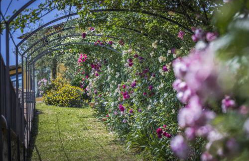 Villa Sole Di Toscana - Foto 25