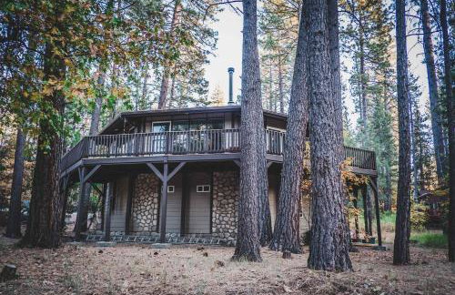 Wildland Aerie at Treehaus with Creekside Hot Tub Pets OK - Foto 72