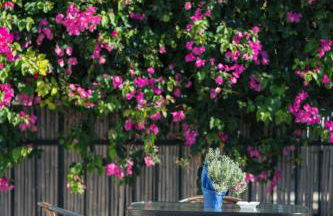 7 bedroom villa with pool, 700m from the beach! - Foto 47