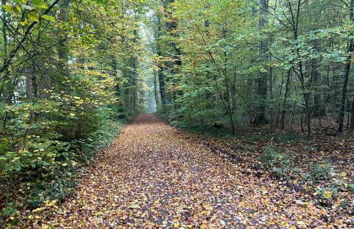 Klosterberghaus - Kontaktloser Check-in - Foto 48