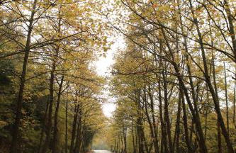 HEAVEN HOUSE - Photo 35