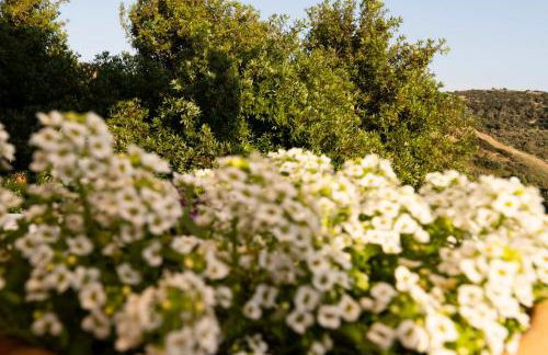 Mano's House - Foto 39