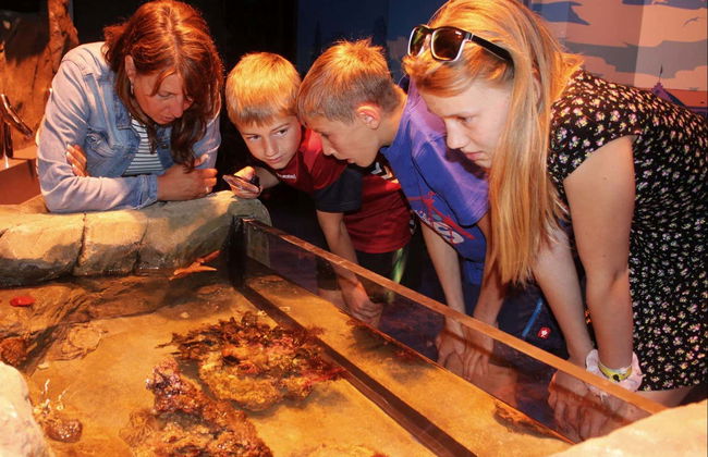 Entrada a SEA LIFE® Constanza - Foto 8