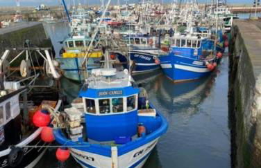Maison de charme Omaha beach port en bessin - Photo 17