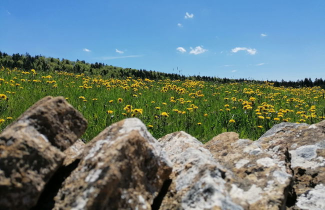 Maison de vacances - LM - Foto 32