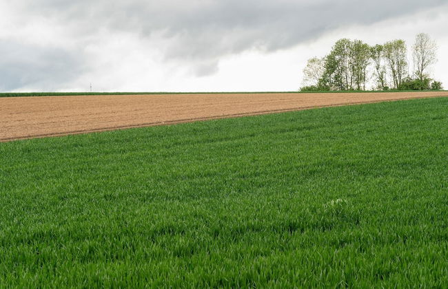 Apartment in Ubachsberg Near Scenic Trails - Photo 34