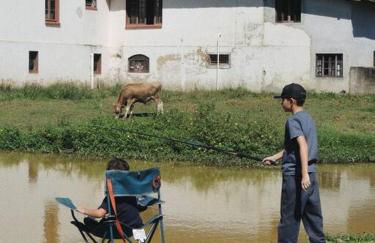 Cabana Mendoza - Busch Camping - Photo 29