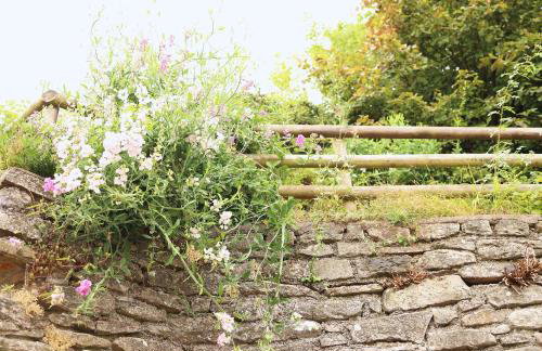 Pet-Friendly Logburner Horse Stable Views - Foto 27