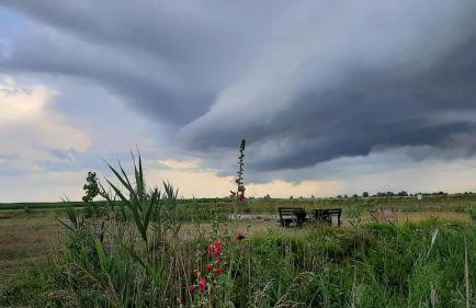 Orzechowy Dworek - Foto 34