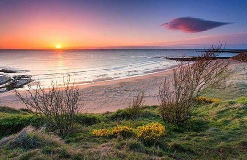 Sugar Sands - Foto 21